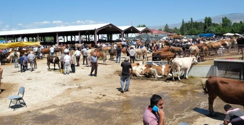 Erzincan canlı hayvan pazarı kapatıldı