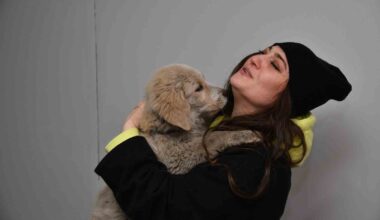 Kahramanmaraş’ta enkaz altından kurtarılan köpek Trabzon’da sahiplendirildi
