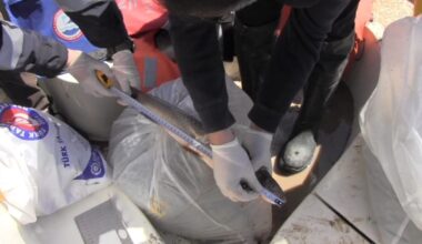 Prof. Dr. Veysel Eroğlu Ilısu Barajı’nda balık stok verim tahmin çalışmaları yapıldı