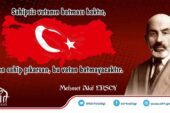 Siirt, İstiklal Marşı’nın Kabulü ve Mehmet Akif Ersoy’u anma etkinliklerine hazırlanıyor