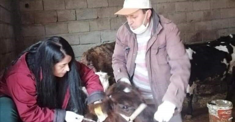 Siirt’te hayvan pazarı ikinci bir emre kadar kapatıldı