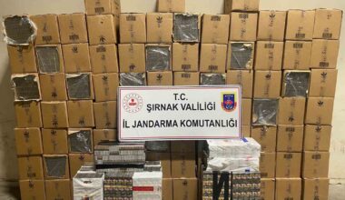 Şırnak’ta 48 bin 900 paket gümrük kaçağı sigara ele geçirildi