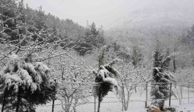 Yoğun kar yağışı nedeniyle Spil Dağı Milli Parkı’nın yolları kapandı