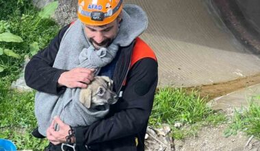 AFAD, 25 metrelik borunun içinde sıkışan yavru köpeği kurtardı