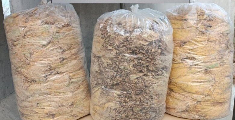 Bingöl’de 150 kilo yaprak tütün ele geçirildi