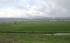 Bingöl’de sağanak yağış sonrası tarım arazileri incelendi
