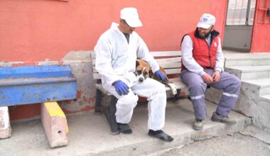 Büyükşehir Geçici Köpek Bakım Evi, depremzede hayvanlara ev sahipliği yapıyor