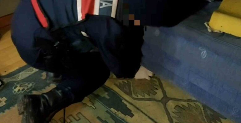 ’Kaput’ kanepeye gizlenmiş uyuşturucu tespit etti