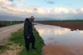 Osmaniye’de, Nisan yağmurları çiftçiye can suyu oldu