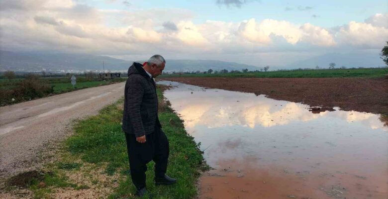 Osmaniye’de, Nisan yağmurları çiftçiye can suyu oldu