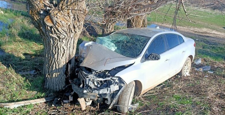 Otomobil ağaca çarptı: 3 yaralı