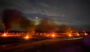 Şanlıurfa’da çiftçiler don olayına karşı ağaçlarını ateş yakarak korudu