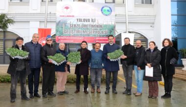 Yalova’da sebze üreticilerine 52 bin 550 adet hıyar fidesi dağıtıldı