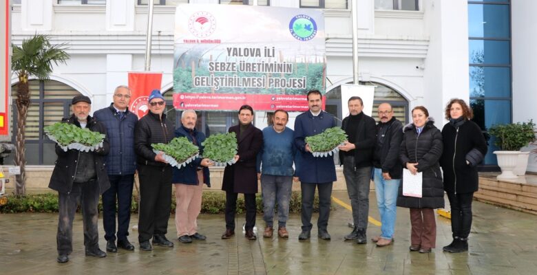 Yalova’da sebze üreticilerine 52 bin 550 adet hıyar fidesi dağıtıldı