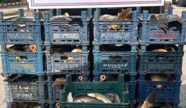 Elazığ’da kaçak avlanan 1 ton 400 kilo balık ele geçirildi