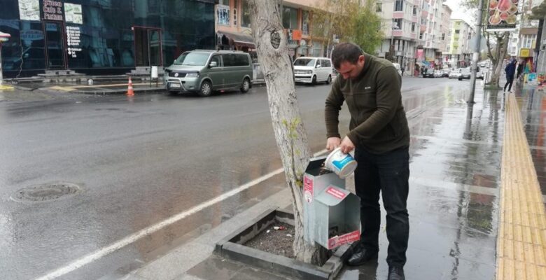 Kars Belediyesi 130 noktada sokak köpeklerinin beslenmesini sağlıyor