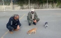 Kayseri polisi, depremin merkez üssündeki hayvanlara şefkat eli uzatıyor