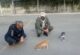 Kayseri polisi, depremin merkez üssündeki hayvanlara şefkat eli uzatıyor