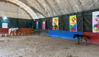 Özel ihtiyaçlı bireylerin eğitim aldığı at çiftliği Çankaya Belediyesince yıkılacak