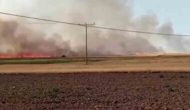 Ankara’da 500 dönümlük tarla yangında kül oldu