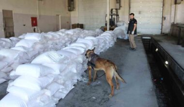 Tuz çuvalları arasında gizlenen 49 kilogram eroin ele geçirildi