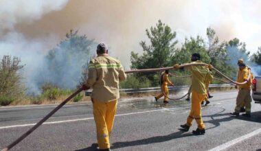 İzmir’de orman yangınında ekip sayısı artırıldı