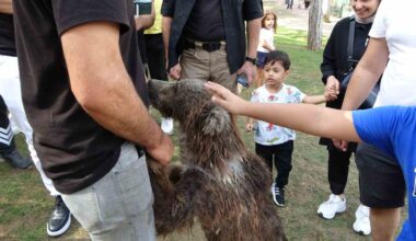 Çekmeköy’de yavru ayı Liva banyo yaptı, vatandaşlar ilgiyle izledi