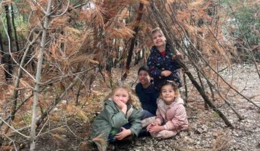 Doğada eşit eğitim hakkı İzmir’deki orman okulunda hayat buldu