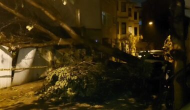 Üsküdar’da evin bahçe duvarına ağaç devrildi