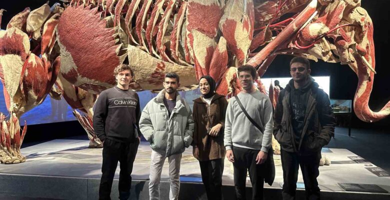 Gerçek hayvanların anatomi sergisinde 3.2 ton ağırlığındaki fil Samba İstanbulluların ilgi odağı oldu