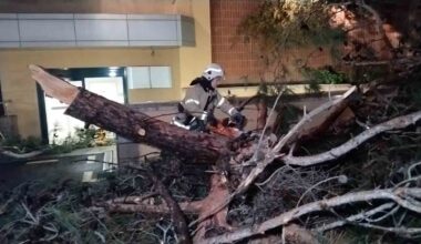 Kadıköy’de hastane bahçesine ağaç devrildi