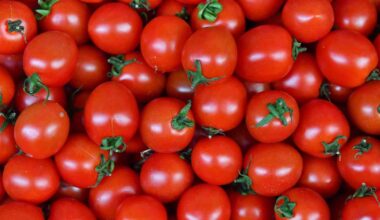 Ankaralılar 2023 yılında en çok domates ve karpuz tüketti