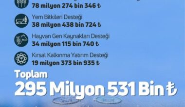 295 milyon 531 bin lira tarımsal destekleme ödemesi çiftçilerin hesabına yatırılacak
