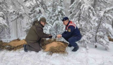 Karla kaplı Kazdaağları’nda yaban hayvanları için yem bıraktılar