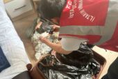 Türkiye’ye kaçak yolla getirilen yaklaşık 100 bin adet tıbbi sülük ele geçirildi