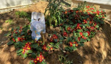 En acı bayram, Oğuz Murat Aci’nin eşi ve babası mezarı başında gözyaşlarıyla anlattı: “Oğlum hiçbir zaman babasının elini öpemeyecek”