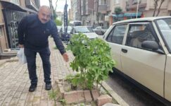Bandırma’da sokakların yeşillenmesi için çağrı