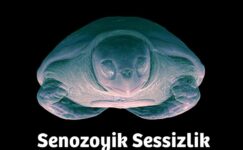 Siemens Healthineers Türkiye’den hayvan sağlığına dikkat çeken dijital sergi